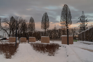 Wall Mural - night winter park of the city of Krasnodar. Galitskogo park