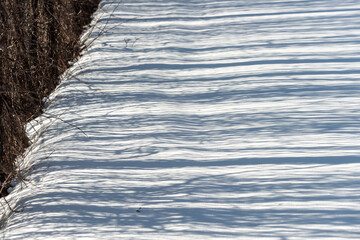 abstract background or shadows on the snow