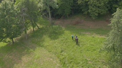 Wall Mural - AERIAL: Young Caucasian female horseback rider leads two horses out into the forest on a hot summer day. Flying above an unrecognizable active woman exploring the ranch with her two beautiful horses.