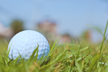 golf ball on green grass close up