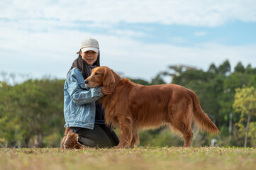 Sticker - Golden Retriever accompanies owner on grass in park