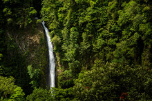 La Fortuna Waterfall, Alajuela Province, Costa Rica, Central America