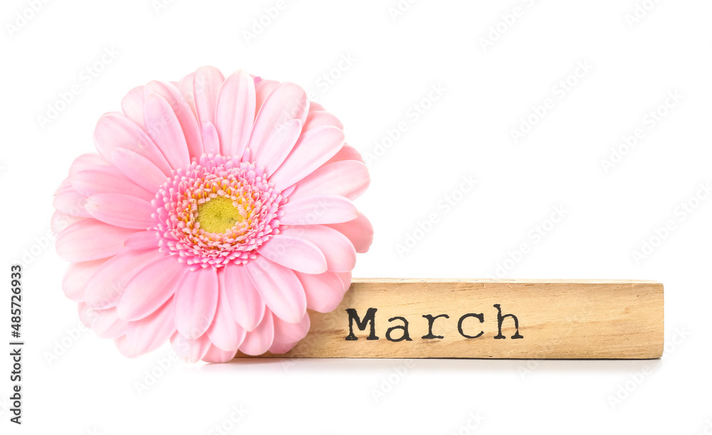 Beautiful composition for International Women's Day celebration on white background