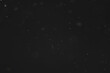 © alexkich - Snow on a black background. Snowflakes for overlay. Snow background.
