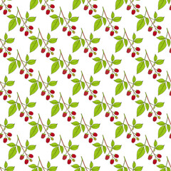 Poster - Seamless pattern with red raspberry branches on white background