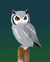 An illustration of a white faced owl. Blue green gradient background. The bird is perched on a pole and he turns his head towards the viewer.