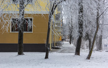 Urban Winter Landscape. Trees In Hoarfrost, Residential Orange House