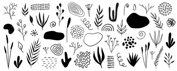 Wall Mural - organic shapes, plants, spots, lines, dots. vector set of minimal trendy abstract hand drawn isolate