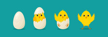 Chick From Egg. Easter Chickens. Cracked Egg With Chick. Steps Of Cartoon Bird. Yellow Little Animal With Cute Character. Funny Newborn Baby Bird On Blue Background. Vector