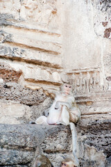 Wall Mural - Funny Monkey Relaxing at Phra Prang Sam Yot Buddhist Temple, Lopburi, Thailand, Southeast Asia