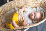 Fototapeta  - baby in a basket