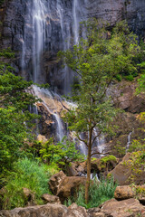 Wall Mural - Bambarakanda Falls, a waterfall near Haputale, Sri Lanka Hill Country, Nuwara Eliya District, Asia