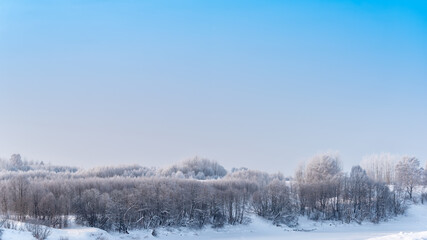  Landscape with winter forest covered with snow.	