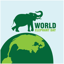 Happy World Elephant Day. August 12. Simple And Elegant. Template For Background, Banner, Card, Story. Poster With Text Writing