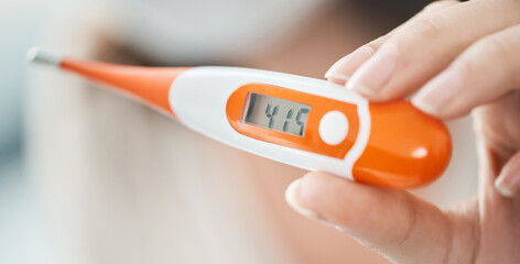 Wall Mural - High temperature is an indicator that you might be falling ill. Shot of a woman holding up a digital thermometer that reads 41.5 degrees.