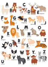 Animal Alphabet. Cute Vector Zoo Alphabet Poster With Cartoon Animals. Set Of Children's ABC Elements In A Hand-drawn Style.