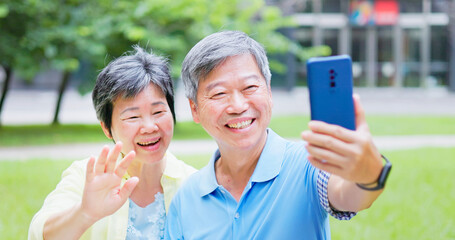 Wall Mural - elder couple have video chat