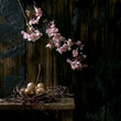 Easter dark rustic still life with blooming branch