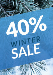 Poster - Winter sale 40%