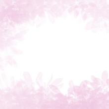 Pink Background Beautiful Abstract Banner Graphic Design Watercolor Paper Brush Grunge Spot Illustration Rose Color Blossom Frame Flower Spring Nature Soft Vintage Floral Colorful 