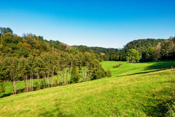 Poster - Naafbachtal im Bergischen Land