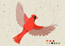 Poster With Red Cardinal From New Bird Collection.