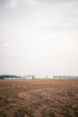 Sticker - A vertical shot of a field on a sunny day