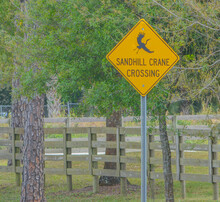 Sandhill Crane Crossing Sign In The Countryside Of Florida