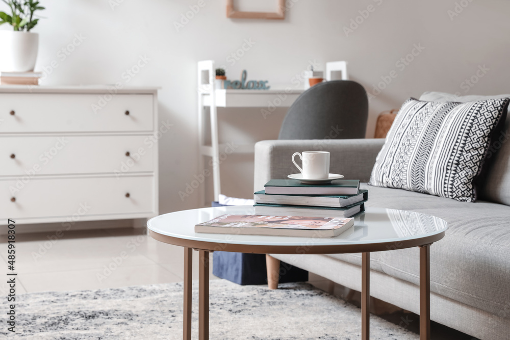 Interior of modern room with stylish sofa