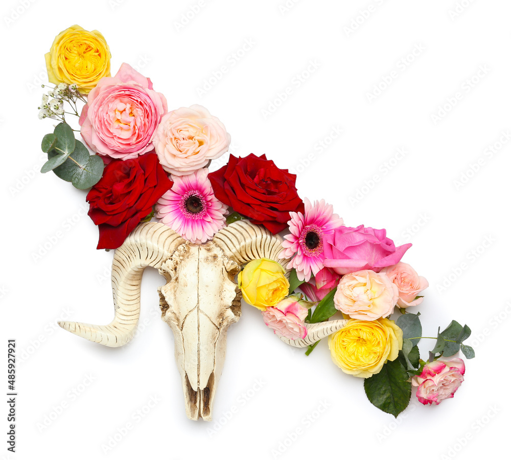 Skull of sheep with flowers on white background