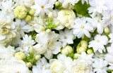 White jasmine flowers fresh flowers natural