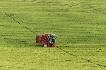 Sticker - A beautiful shot of a tractor in the middle of a green field