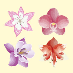 Sticker - four exotics flowers icons