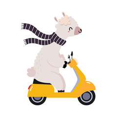 Sticker - Cute Fluffy Alpaca Character in Scarf Riding Motor Scooter or Motorcycle Vector Illustration