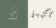 Vector illustration rosemary branch - vintage engraved style. Logo composition in retro botanical style.
