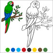 Coloring page birds. Cute parrot green macaw sits on the branch and smiles.