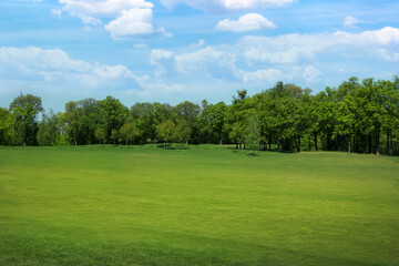 Beautiful view of park with green grass on sunny day