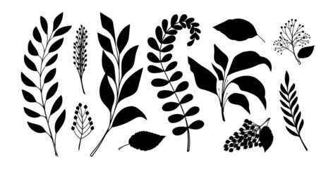 set of silhouettes of leaves and branches of grass for design, black contours isolated on a white ba