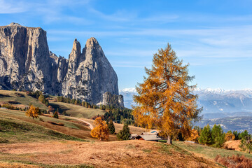 Golden autumn on the Seiser Alm plateau. South Tyrol, Italy.