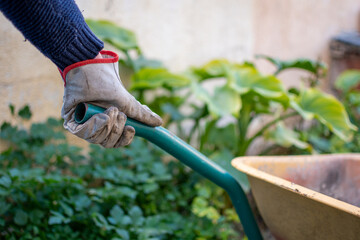 Man hands with dirty work gloves carrying wheelbarrow in home garden