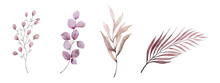 Set Of Watercolor Botanical Leaves Elements