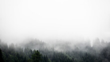 Amazing Mystical Rising Fog Forest Trees Firs Landscape In Black Forest ( Schwarzwald ) Germany Panorama Banner View - Dark Mood