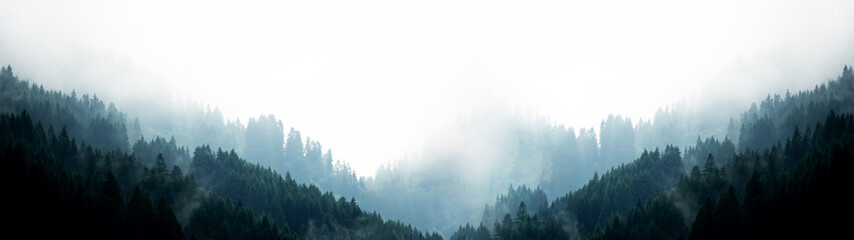 Wall Mural - Amazing mystical rising fog forest trees firs landscape in black forest ( Schwarzwald ) Germany panorama banner view - dark mood