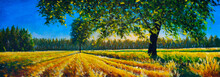 Extra Wide Panorama Of Gorgeous Field And Tree In Summer Autumn Painting