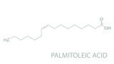 Fototapeta Paryż - Palmitoleic acid molecular skeletal chemical formula.	