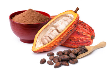Wall Mural - Cocoa powder in red bowl and fresh red cacao pod with dried cocoa beans isolated on white background.