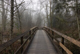 Fototapeta  - Path in the Canadian rain forest with green trees. Early morning fog in winter season. Tynehead Park in Surrey, Vancouver, British Columbia, Canada.