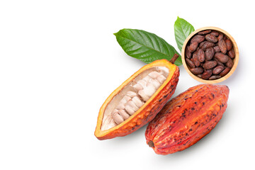 Poster - cocoa beans and cacao fruit on white