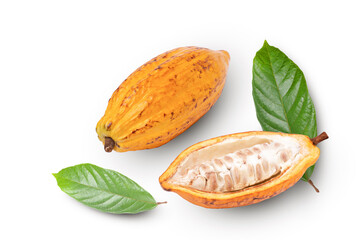 Wall Mural - Fresh yellow cocoa fruit with green leaves and cut in half sliced isolated on white background.	
