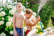 Two cute caucasian blond boys enjoy having fun watering garden flower and lawn with hosepipe sprinkler at home backyard at sunny day. Children little helper learn gardening at summer outdoor.